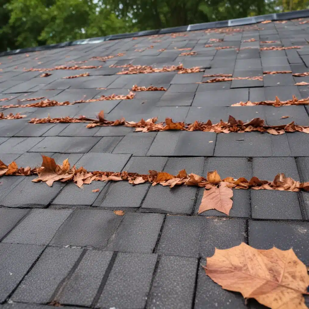 Flat Roof Maintenance and Leaf Buildup: Protecting Your Roof from Drainage Blockages