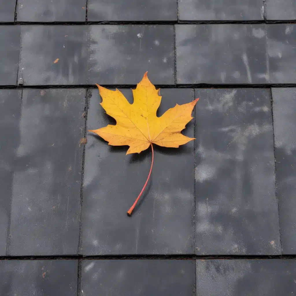 Protecting Your Flat Roof from Leaf Buildup and Drainage Issues